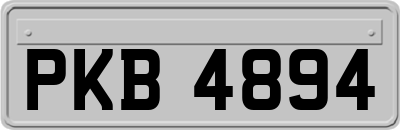 PKB4894