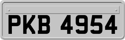 PKB4954