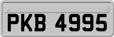 PKB4995