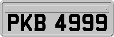 PKB4999