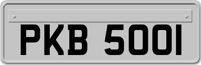 PKB5001
