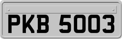 PKB5003