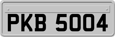 PKB5004