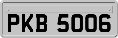PKB5006