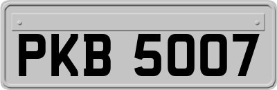 PKB5007