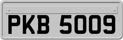 PKB5009