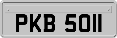 PKB5011