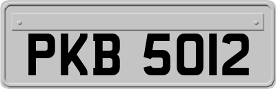 PKB5012