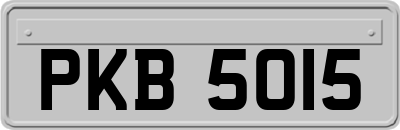 PKB5015