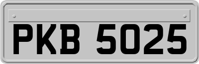 PKB5025