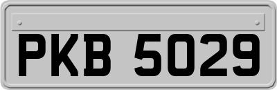 PKB5029
