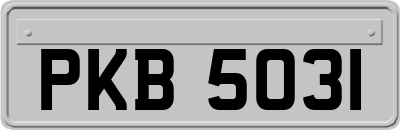 PKB5031