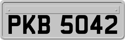PKB5042