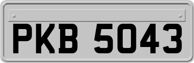 PKB5043