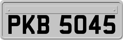 PKB5045