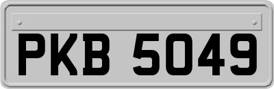 PKB5049