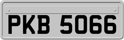 PKB5066