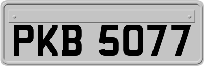 PKB5077