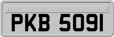 PKB5091