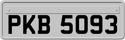 PKB5093