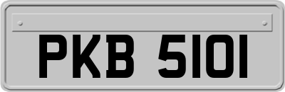 PKB5101