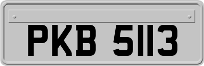 PKB5113