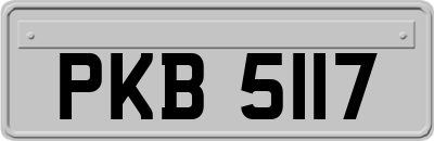 PKB5117