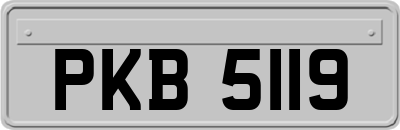 PKB5119
