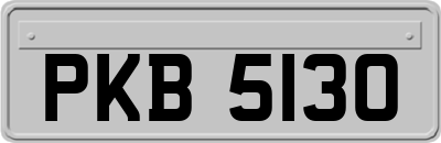 PKB5130