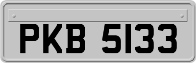 PKB5133