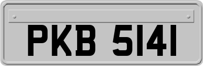 PKB5141