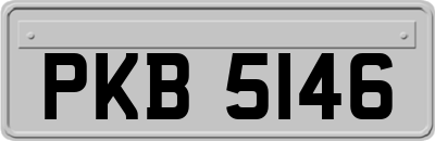 PKB5146