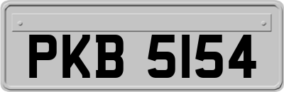 PKB5154