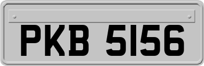 PKB5156