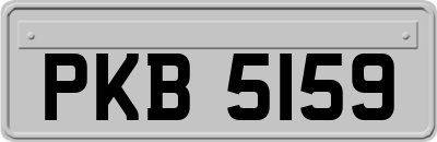 PKB5159
