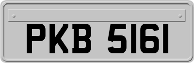 PKB5161