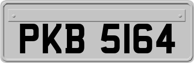 PKB5164
