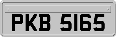 PKB5165