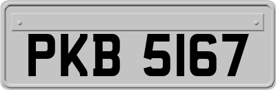 PKB5167