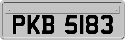 PKB5183