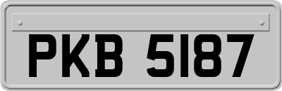 PKB5187