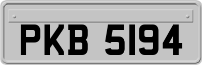PKB5194