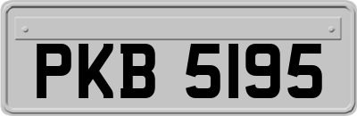 PKB5195