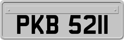 PKB5211