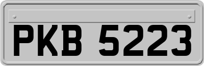 PKB5223