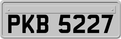 PKB5227