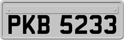 PKB5233