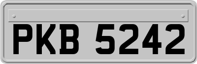 PKB5242