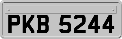 PKB5244