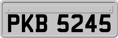 PKB5245